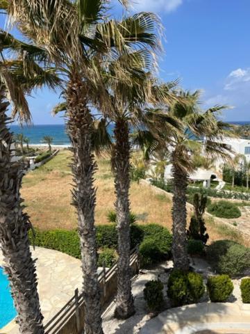 Sky Villa Paphos Eksteriør bilde